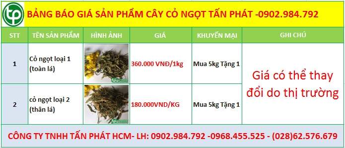 Bảng giá cỏ ngọt tại Tuyên Quang điều trị chứng đau đầu
